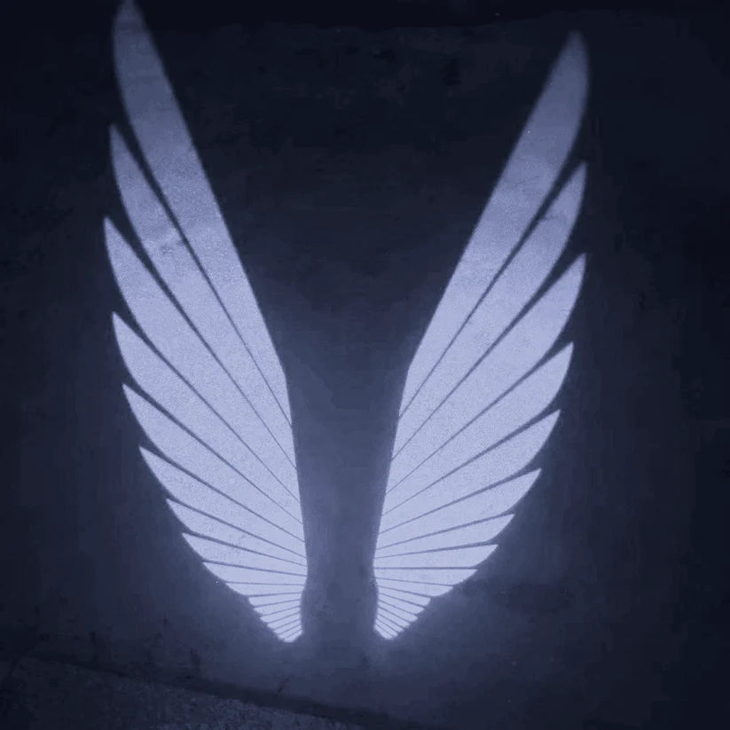 Éclairage d'ambiance de rétroviseur universel "Ailes d'ange"