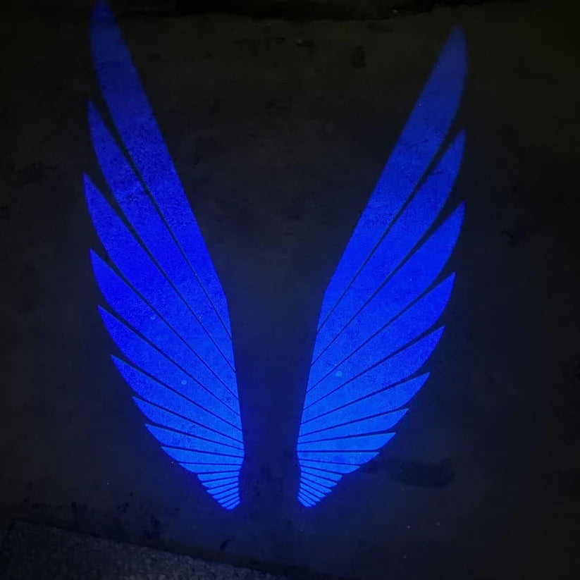 Éclairage d'ambiance de rétroviseur universel "Ailes d'ange"