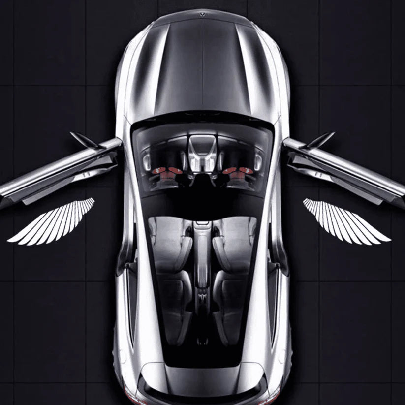 Car Door Angel Wing Welcome Light