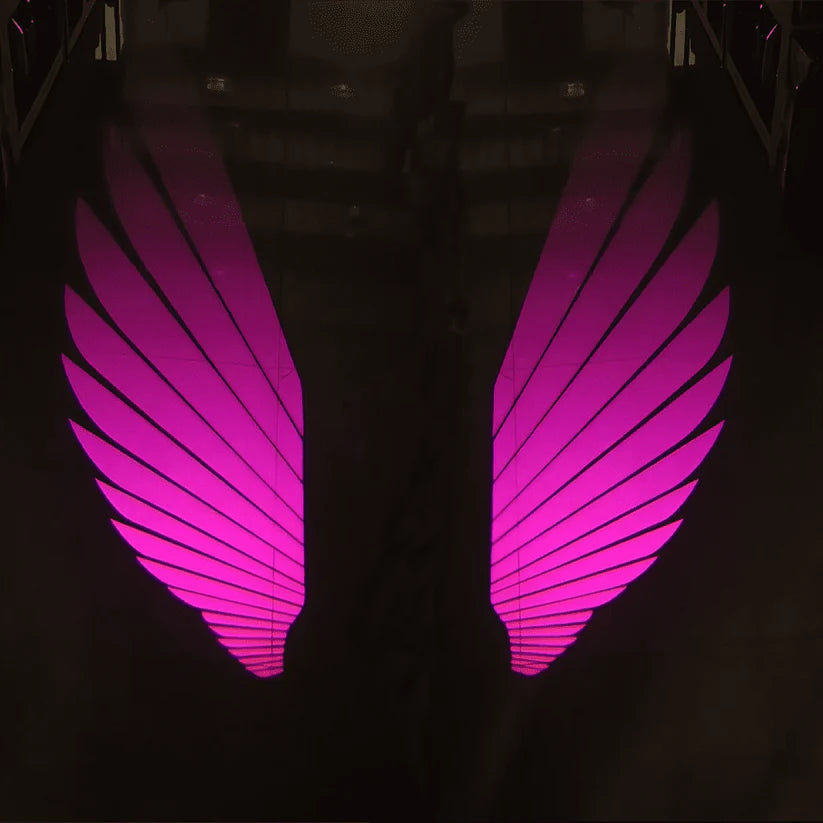 Éclairage d'ambiance de rétroviseur universel "Ailes d'ange"