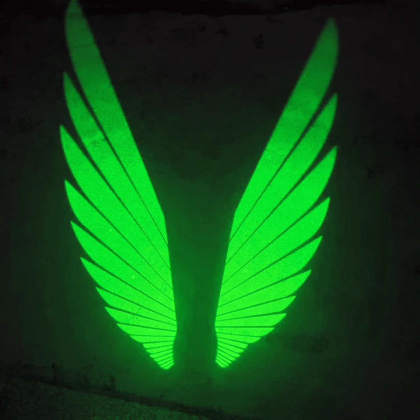 Éclairage d'ambiance de rétroviseur universel "Ailes d'ange"