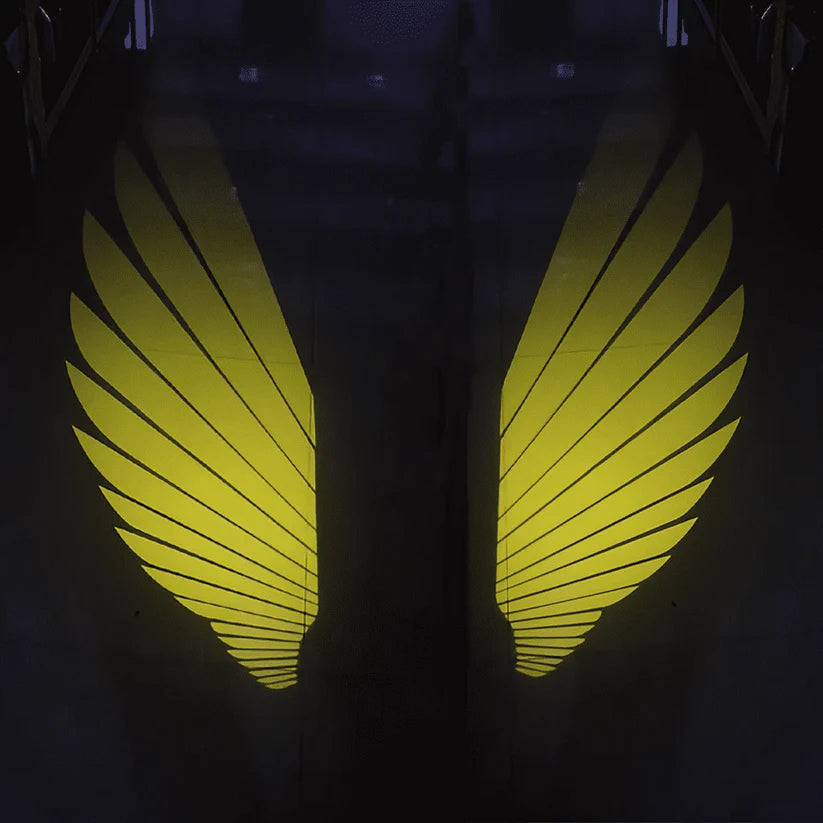 Éclairage d'ambiance de rétroviseur universel "Ailes d'ange"